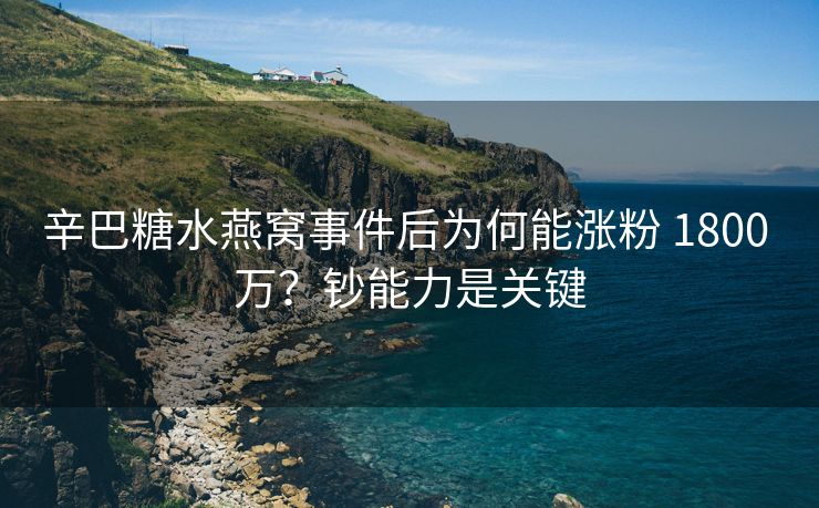 辛巴糖水燕窝事件后为何能涨粉 1800 万？钞能力是关键