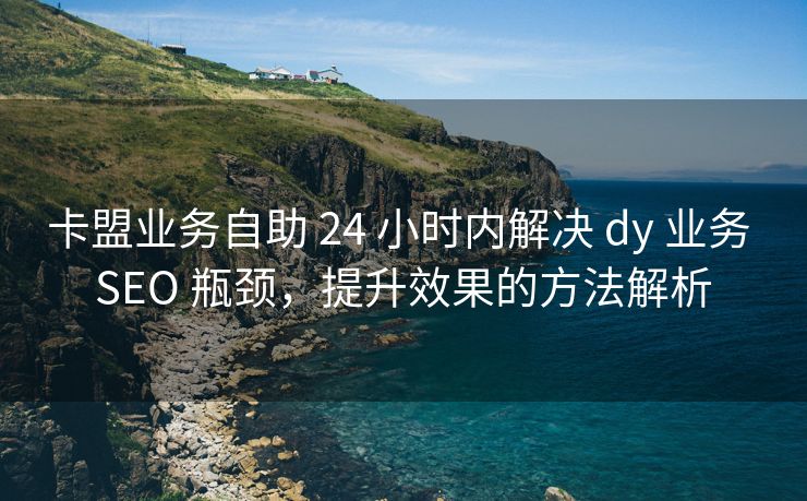 卡盟业务自助 24 小时内解决 dy 业务 SEO 瓶颈，提升效果的方法解析