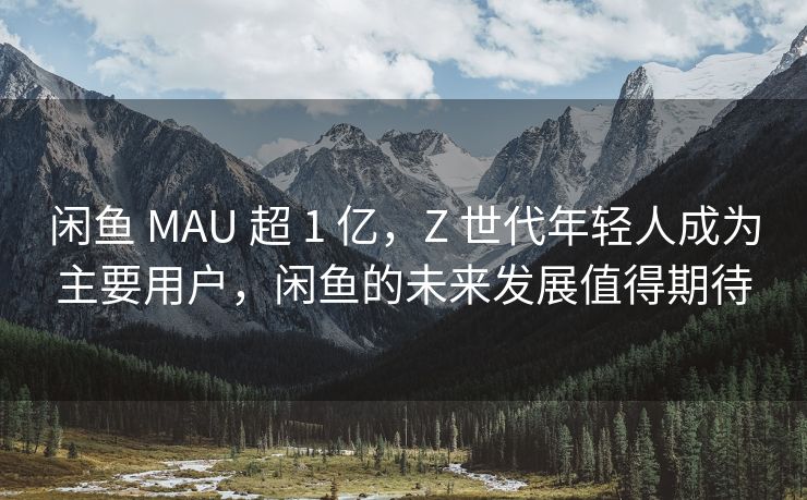 闲鱼 MAU 超 1 亿，Z 世代年轻人成为主要用户，闲鱼的未来发展值得期待