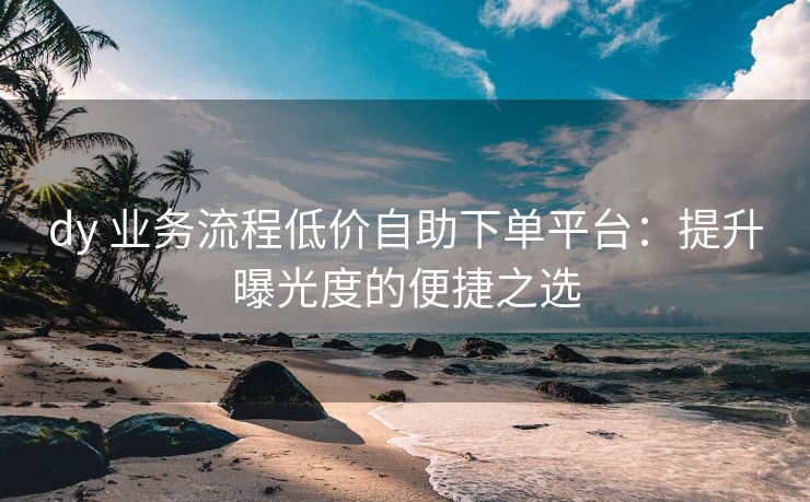 dy 业务流程低价自助下单平台：提升曝光度的便捷之选