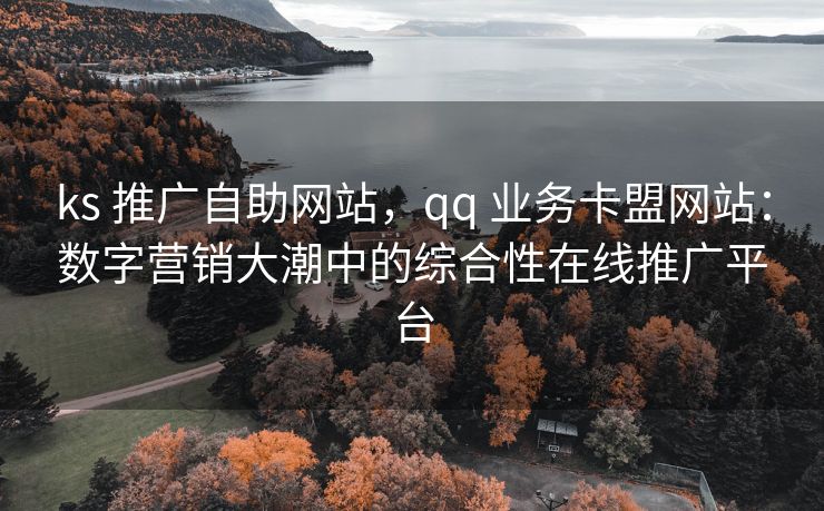 ks 推广自助网站，qq 业务卡盟网站：数字营销大潮中的综合性在线推广平台