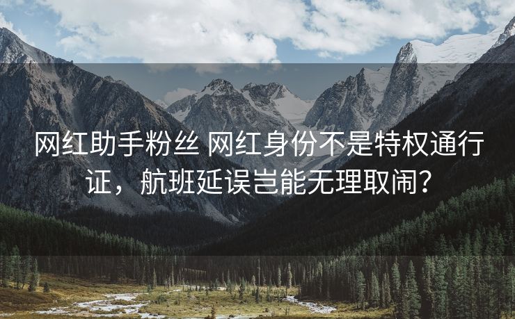 网红助手关注 网红身份不是特权通行证，航班延误岂能无理取闹？