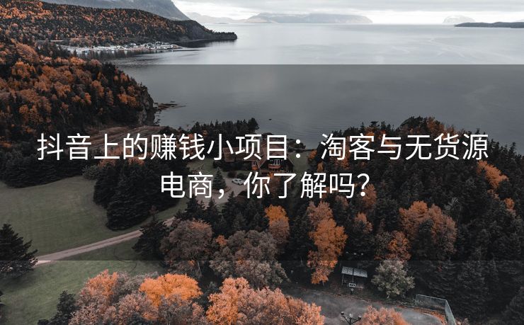 抖音上的目淘<strong>刷qq刷标签赞平台</strong>赚钱小项目：淘客与无货源电商，你了解吗？