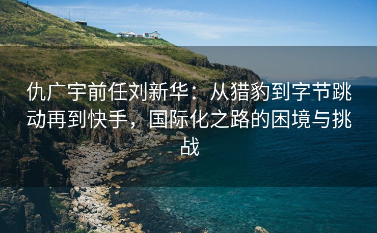 仇广宇前任刘新华：从猎豹到字节跳动再到快手，国际化之路的困境与挑战