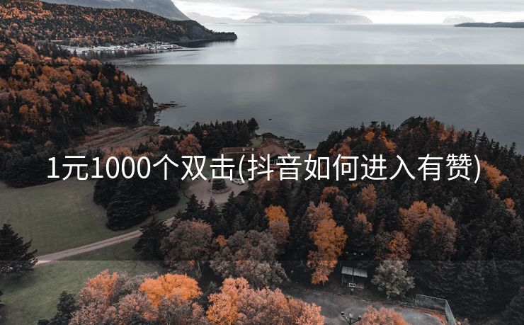 1元1000个双击(抖音如何进入有赞)