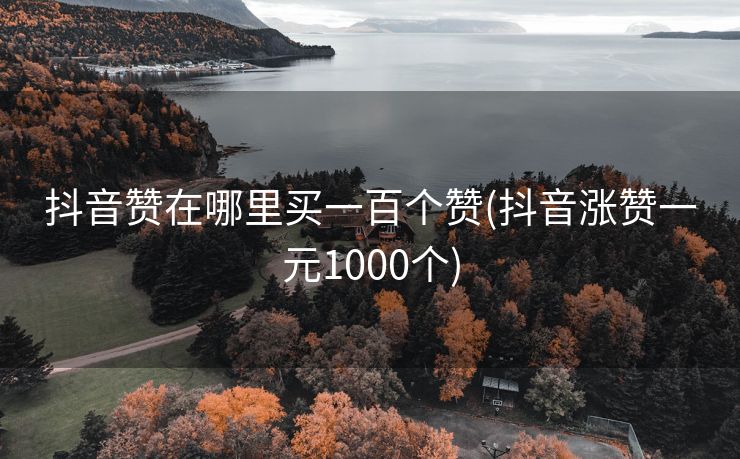 抖音赞在哪里买一百个赞(抖音涨赞一元1000个)