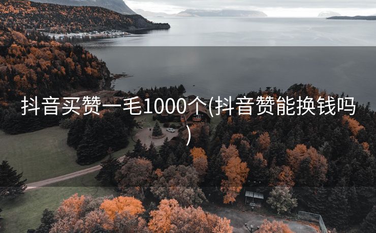 抖音买赞一毛1000个(抖音赞能换钱吗)