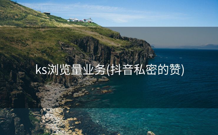 ks浏览量业务(抖音私密的赞)