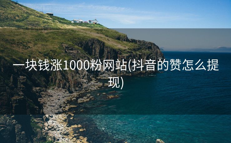 一块钱涨1000粉网站(抖音的赞怎么提现)