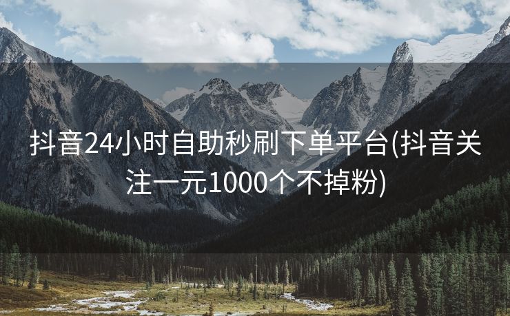 抖音24小时自助秒刷下单平台(抖音关注一元1000个不掉粉)