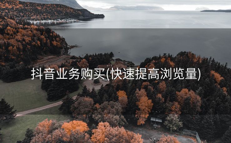 抖音业务购买(快速提高浏览量)