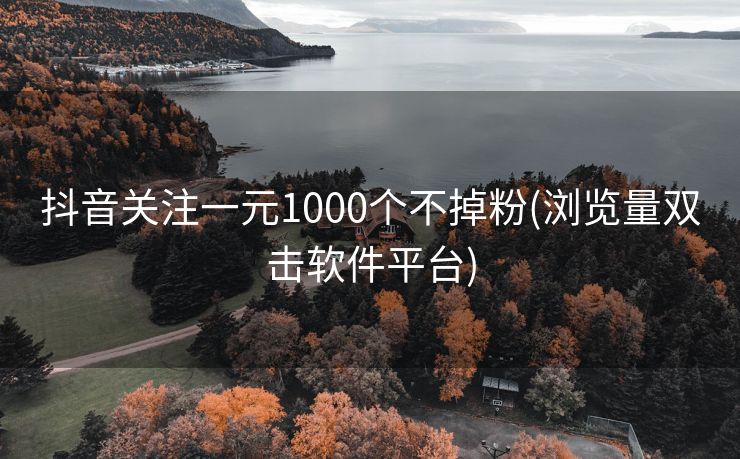 抖音关注一元1000个不掉粉(浏览量双击软件平台)