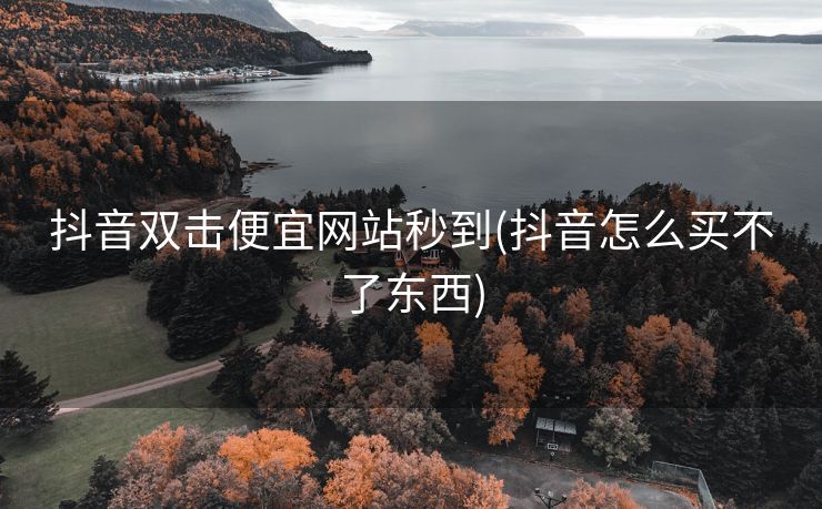 抖音双击便宜网站秒到(抖音怎么买不了东西)