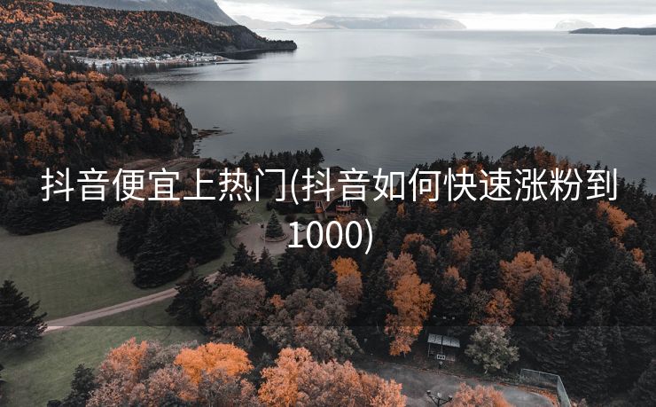 抖音便宜上热门(抖音如何快速涨粉到1000)