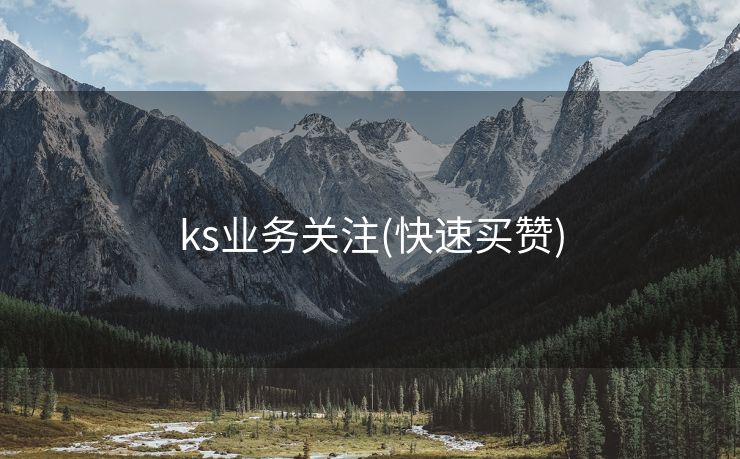 ks业务关注(快速买赞)