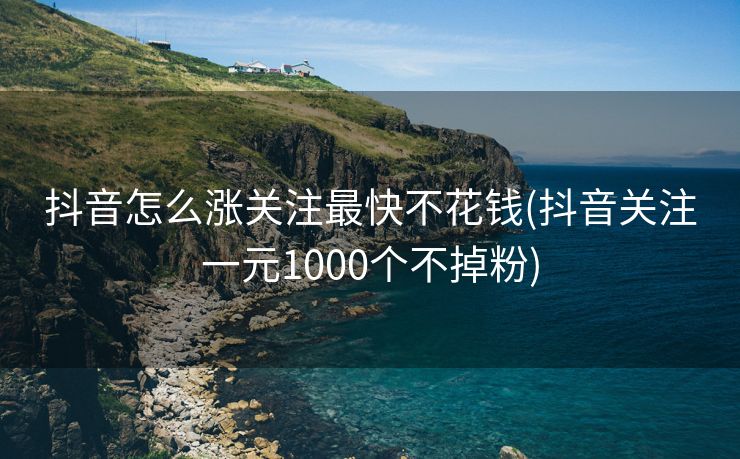 抖音怎么涨关注最快不花钱(抖音关注一元1000个不掉粉)