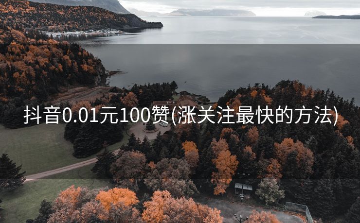 抖音0.01元100赞(涨关注最快的方法)