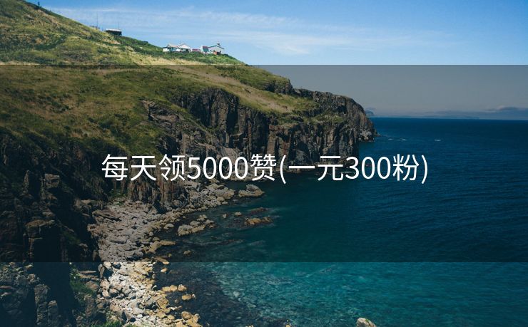 每天领5000赞(一元300粉)