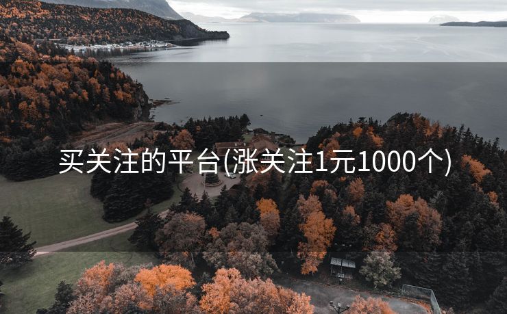 买关注的平台(涨关注1元1000个)