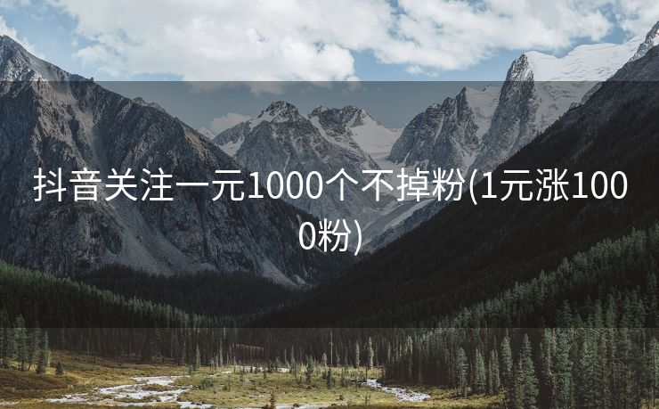 抖音关注一元1000个不掉粉(1元涨1000粉)