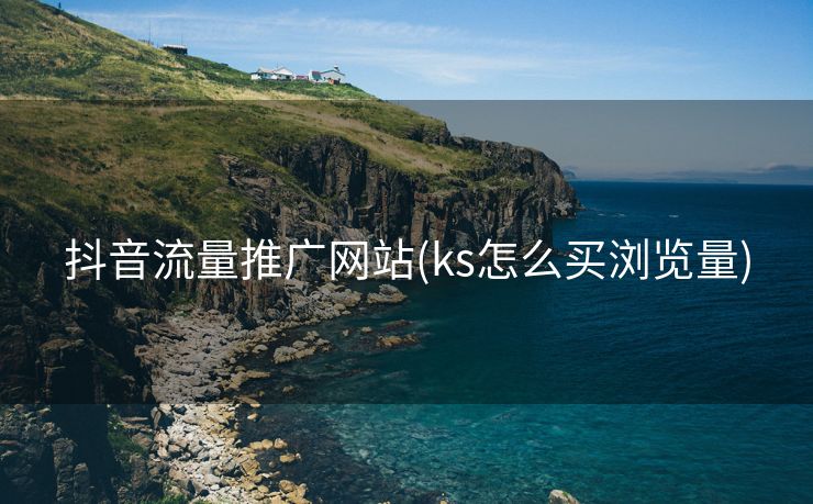 抖音流量推广网站(ks怎么买浏览量)