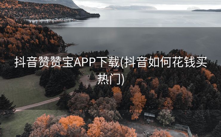 抖音赞赞宝APP下载(抖音如何花钱买热门)