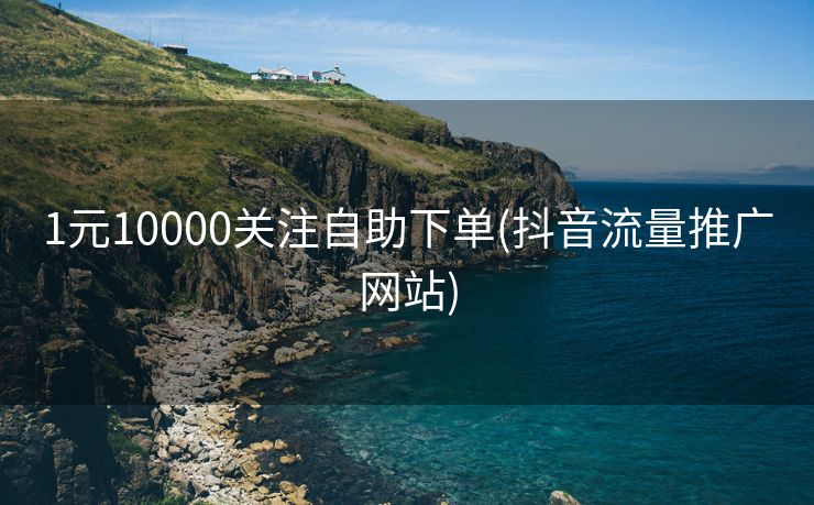 1元10000关注自助下单(抖音流量推广网站)