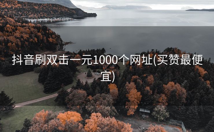 抖音刷双击一元1000个网址(买赞最便宜)