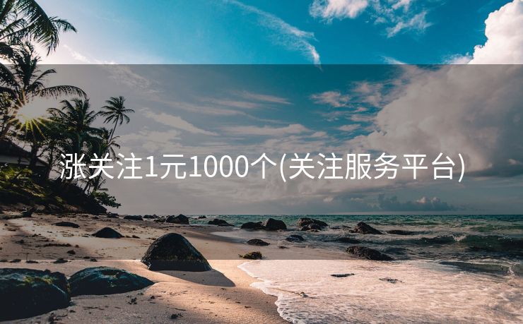 涨关注1元1000个(关注服务平台)