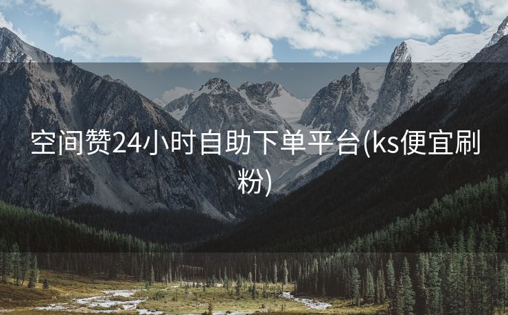 空间赞24小时自助下单平台(ks便宜刷粉)