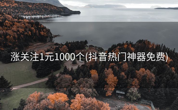 涨关注1元1000个(抖音热门神器免费)