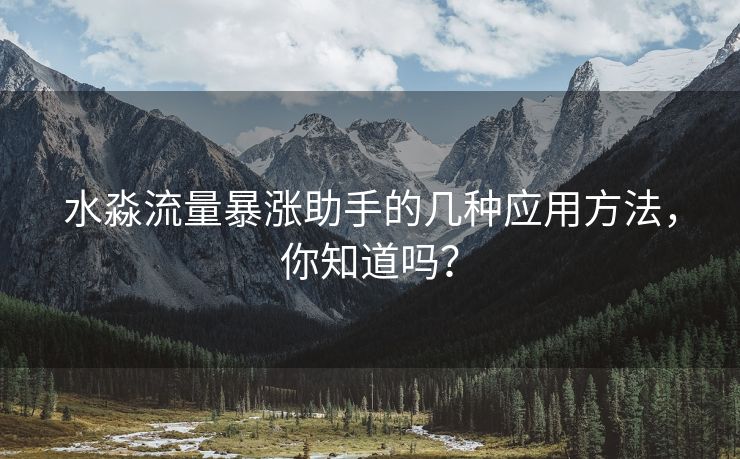 水淼流量暴涨助手的几种应用方法，你知道吗？