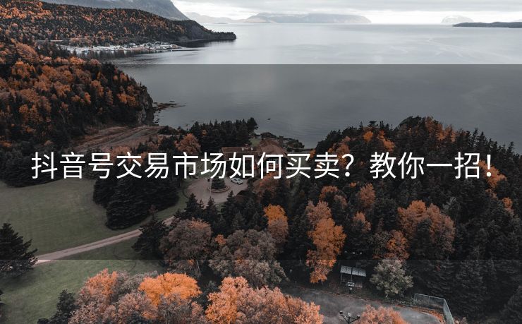 抖音号交易市场如何买卖？教你一招！号交