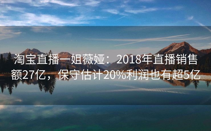 淘宝直播一姐薇娅：2018年直播销售额27亿，保守估计20%利润也有超5亿