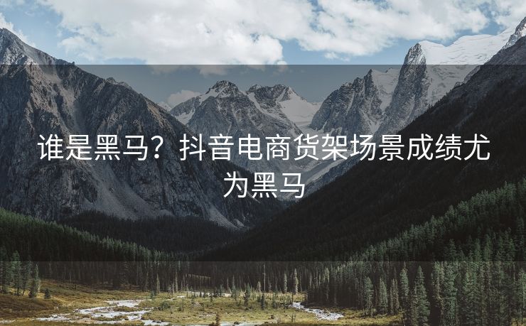 谁是黑马？抖音电商货架场景成绩尤为黑马