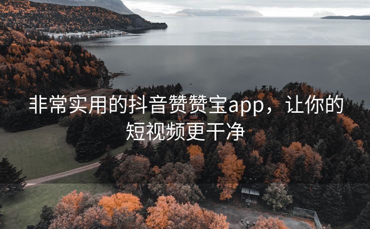 非常实用的抖音赞赞宝app，让你的短视频更干净