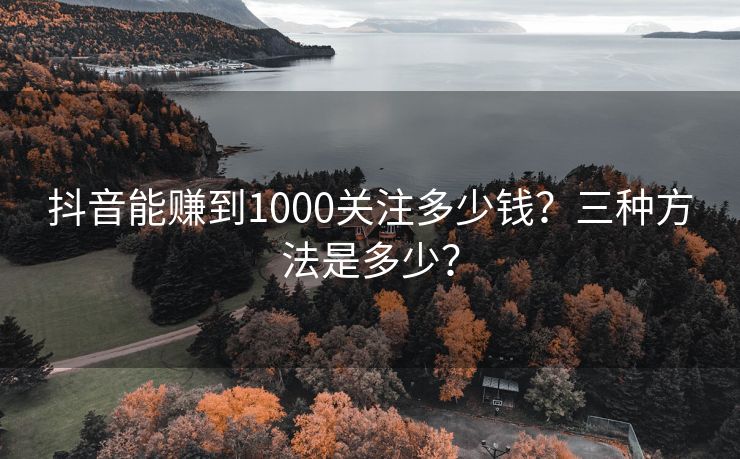 抖音能赚到1000关注多少钱？三种方法是多少？