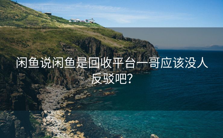 闲鱼说闲鱼是回收平台一哥应该没人反驳吧？