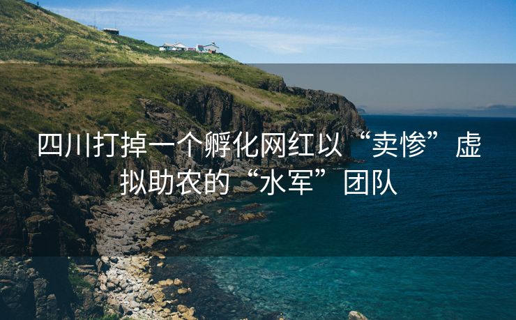 四川打掉一个孵化网红以“卖惨”虚拟助农的“水军”团队