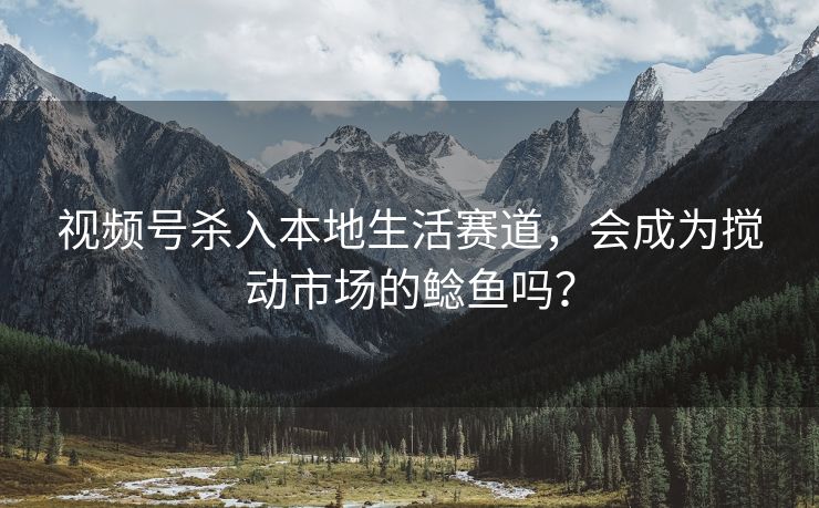 视频号杀入本地生活赛道，会成为搅动市场的鲶鱼吗？