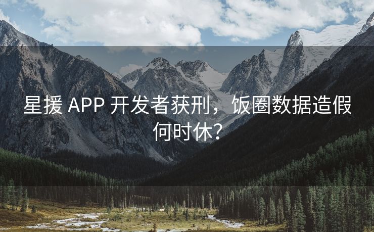 星援 APP 开发者获刑，饭圈数据造假何时休？