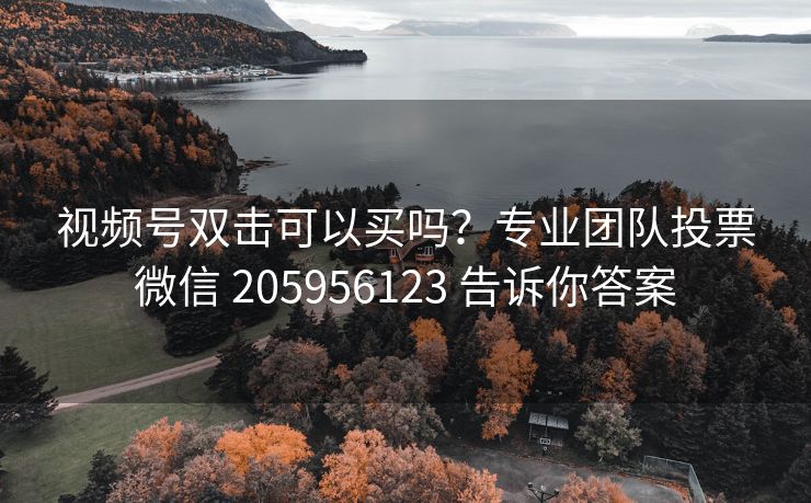 视频号双击可以买吗？专业团队投票微信 205956123 告诉你答案