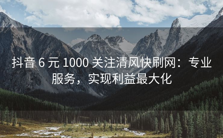 抖音 6 元 1000 关注清风快刷网：专业服务，实现利益最大化