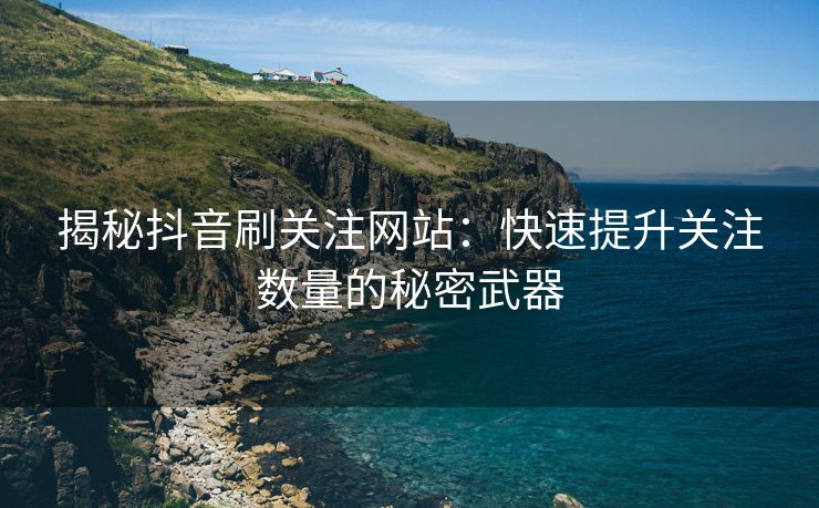 揭秘抖音刷关注网站：快速提升关注数量的秘密武器