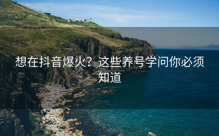 想在抖音爆火？这些养号学问你必须知道