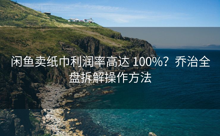 闲鱼卖纸巾利润率高达 100%？乔治全盘拆解操作方法