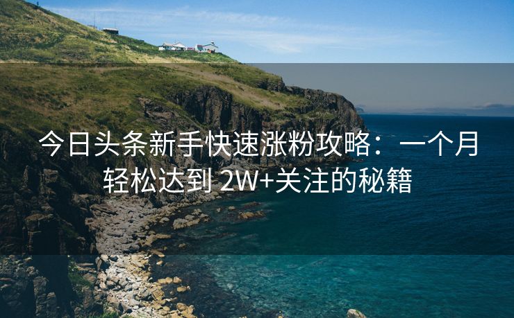 今日头条新手快速涨粉攻略：一个月轻松达到 2W+关注的秘籍