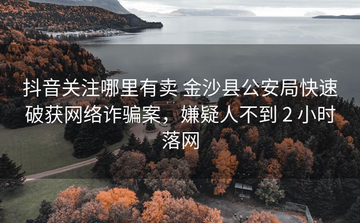 抖音关注哪里有卖 金沙县公安局快速破获网络诈骗案，嫌疑人不到 2 小时落网