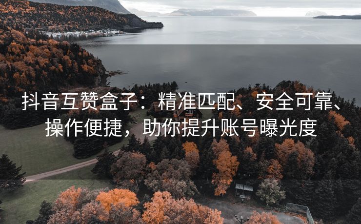 抖音互赞盒子：精准匹配、安全可靠、操作便捷，助你提升账号曝光度