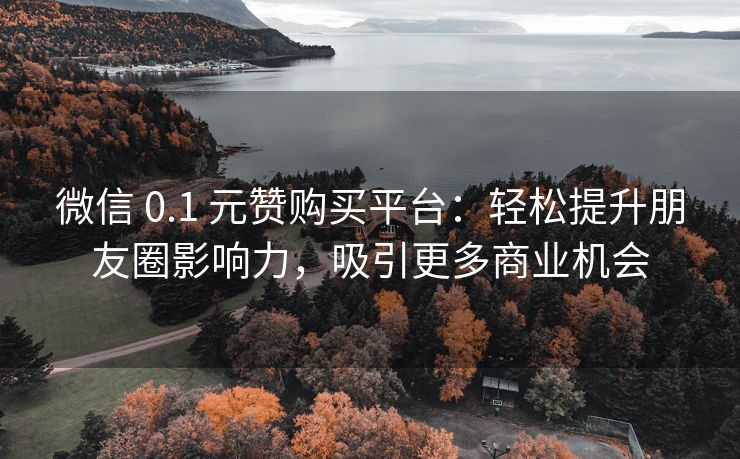 微信 0.1 元赞购买平台：轻松提升朋友圈影响力，吸引更多商业机会